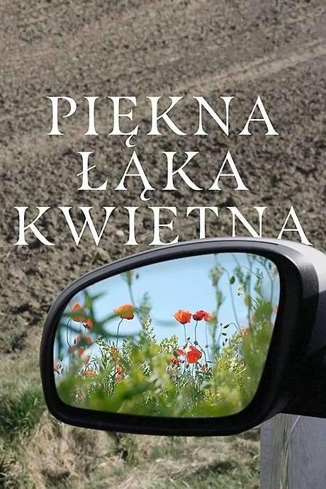 A Beautiful Wildflower Meadow